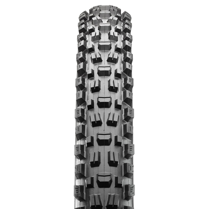 ASSEGAI 29 X 2.50 WT 3C TERRA EXO TR FOLD 60TPI E-25