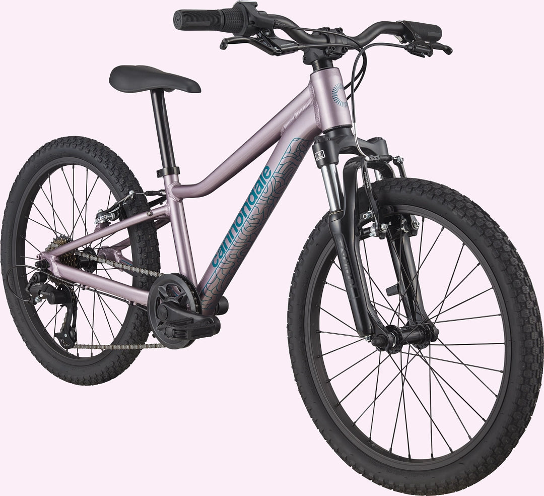 Cannondale 20 Kids Trail