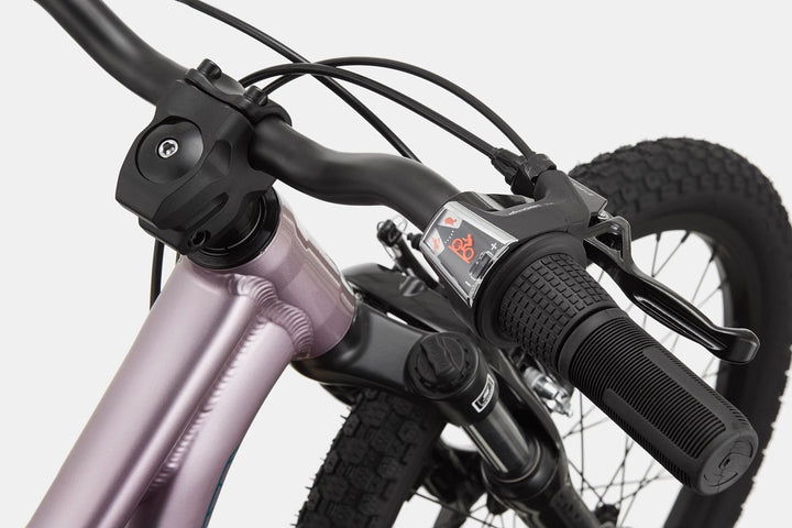 Cannondale 20 Kids Trail