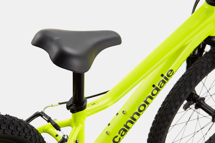 Cannondale 20 Kids Trail