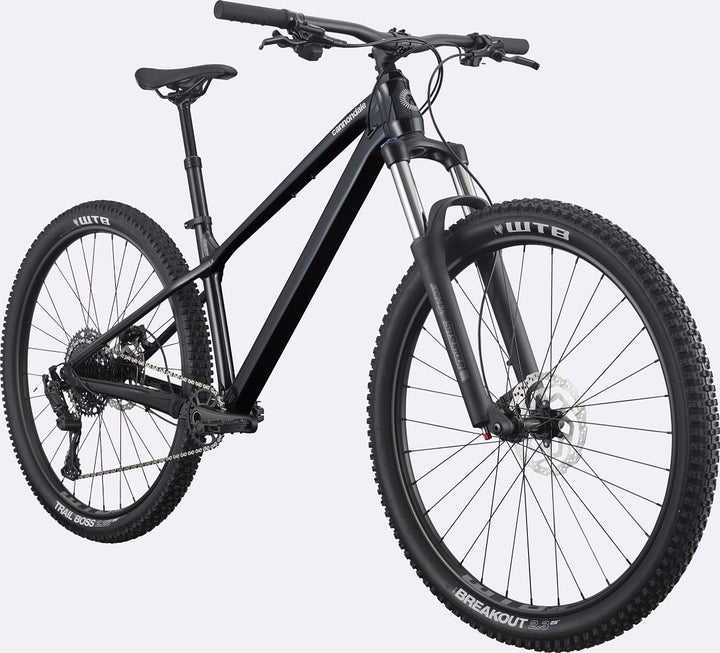 Cannondale Habit HT 3