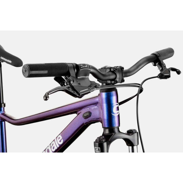 Cannondale Trail 26