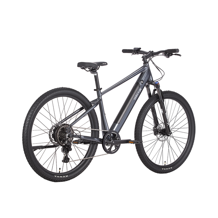 Velectrix Ascent 29