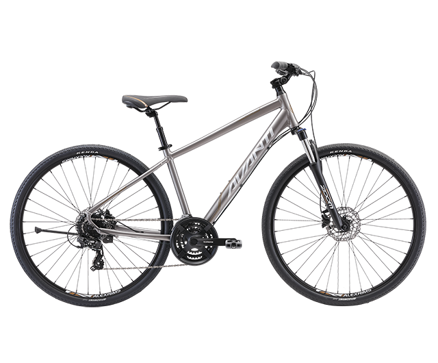 Avanti Discovery 2