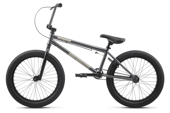 Mongoose Scan 4.0