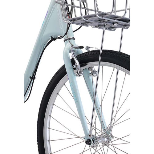 Schwinn Fordham