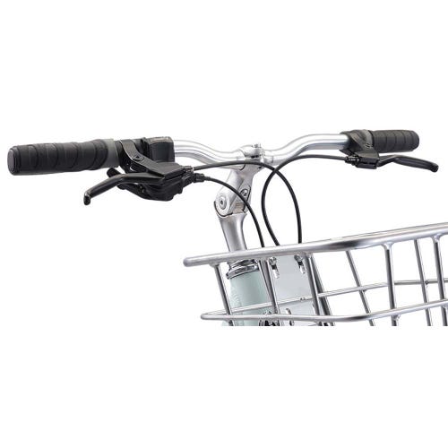 Schwinn Fordham