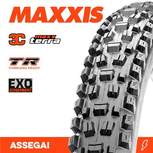 ASSEGAI 29 X 2.50 WT 3C TERRA EXO TR FOLD 60TPI E-25