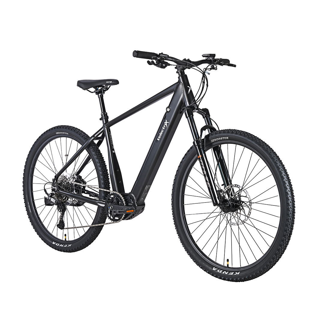 Velectrix Ascent X
