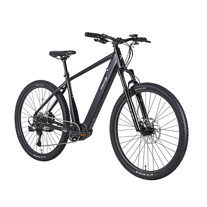 Velectrix Ascent X