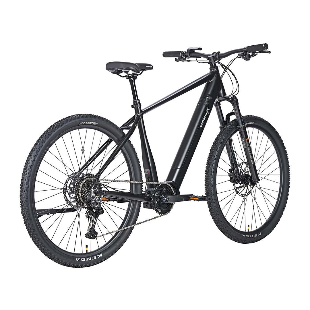 Velectrix Ascent X