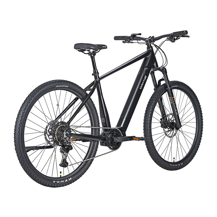 Velectrix Ascent X