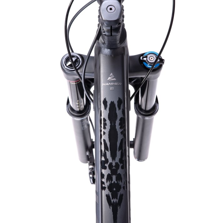 Avanti Hammer LT2