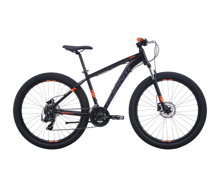 Avanti Black Thunder LE